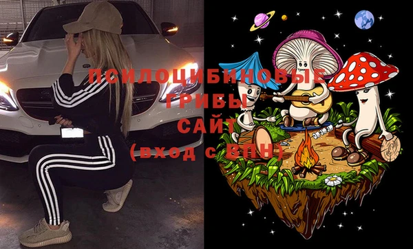 ПСИЛОЦИБИНОВЫЕ ГРИБЫ Бугульма
