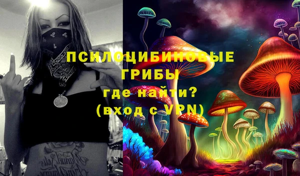 mdpv Верея