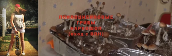 эйфоретик Сосновый Бор