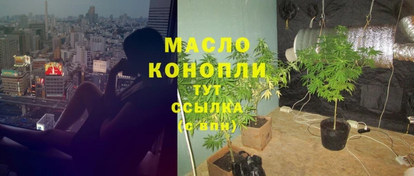 метадон Богданович