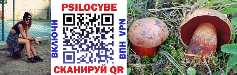 купить наркотик  Воркута  Псилоцибиновые грибы мухоморы 